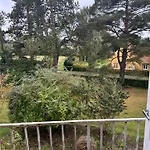 Pine Haven * Odense