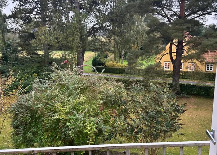 Pine Haven * 오덴세